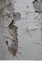 Walls Plaster